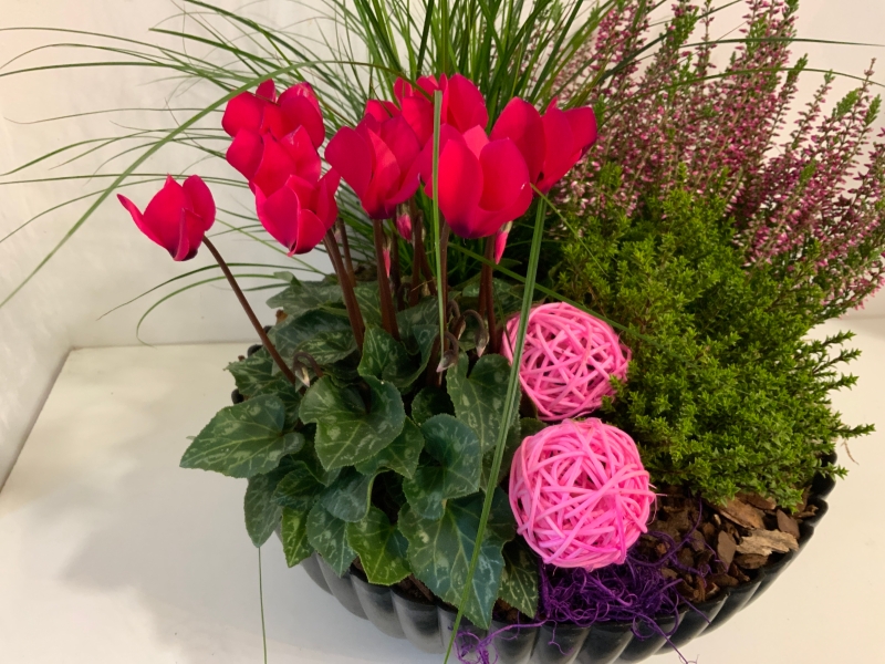 Autumn planted bowl