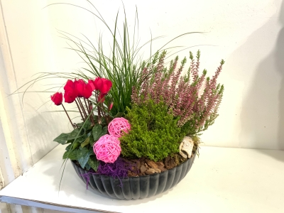 Autumn planted bowl