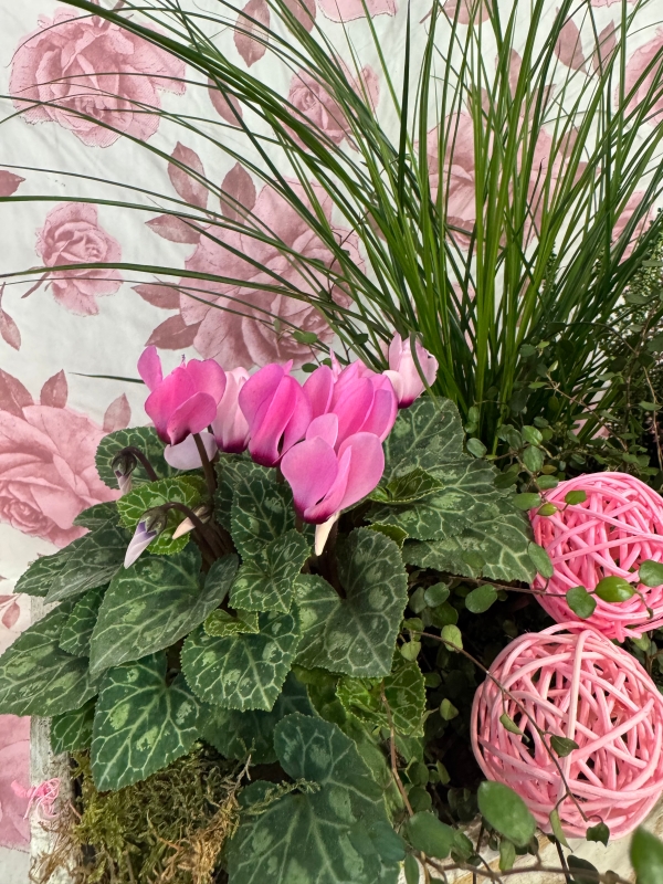 Autumn planter