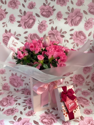 Beautiful Azelia house plant and Butlers chocolates 240gr