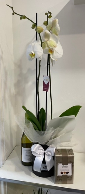 Beautiful Phalaenopsis orchid in keepsake hat box