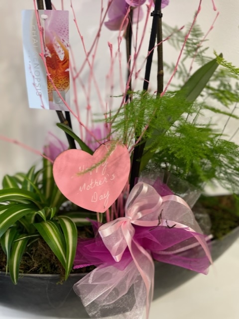 Boat shape orchid gift planter