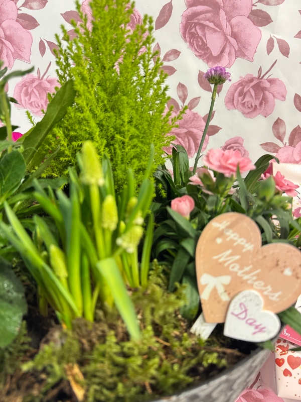 Large planted spring bowl