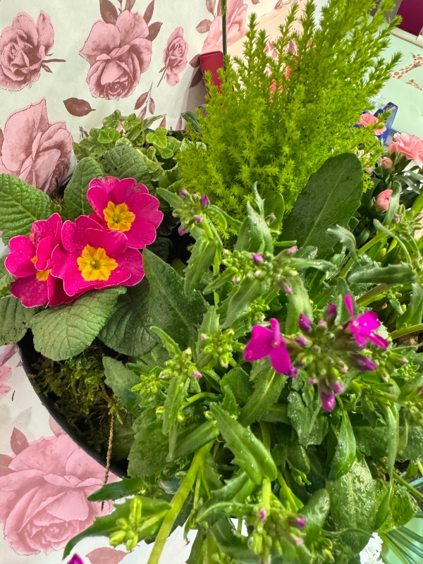 Large planted spring bowl