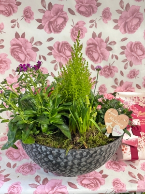 Large planted spring bowl