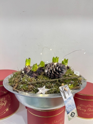 Metal Hyacinth planted bowl with battery lights