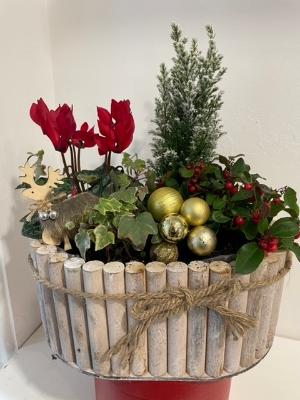 Oval wooden gift planter