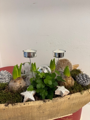 Santa,s sledge Hyacinth planter