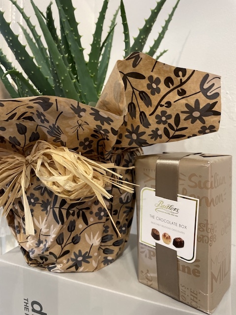 Something different! Lovley Aloe Arborescens with natural gift wrapping and 160g Butler Chocolates