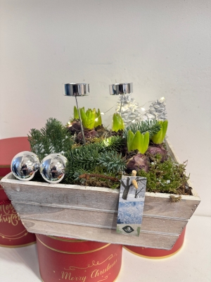 Square Hyacinth planted arrangement with lights and candle holders