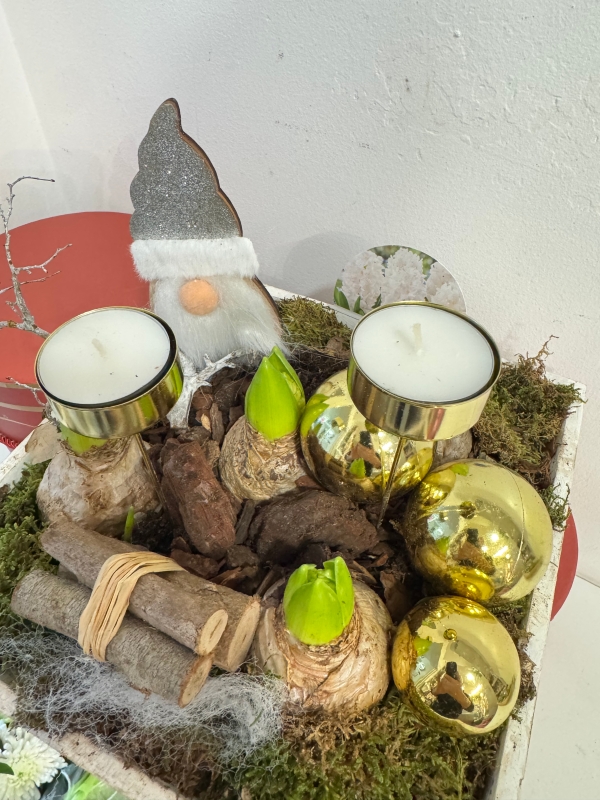 Square Santa Hyacinth planted arrangement with candle holders