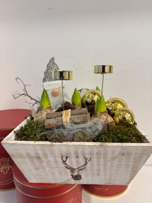 Square Santa Hyacinth planted arrangement with candle holders