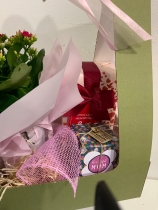 gift pack inc gift plant, butler’s chocolates and a lovley mum candle