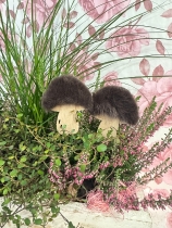 Autumn planter