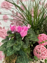 Autumn planter