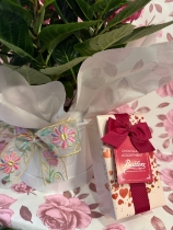 Beautiful Hydrangea plant gift wrapped into a keepsake hat box with Butlers chocolates £160 gr