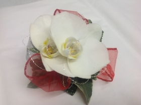 Formal Fresh  Orchid  Wrist corsage