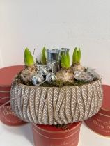 Gold Hyacinth planted arrangement with candle holders