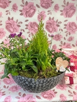 Large planted spring bowl