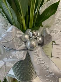 Lovley peace lily plant , hand gift wrapped and I. A metal container