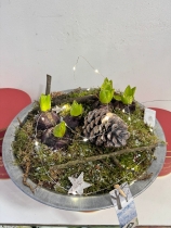 Metal Hyacinth planted bowl with battery lights
