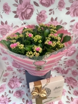 Mother’s Day Gift collection (see notes for full content)