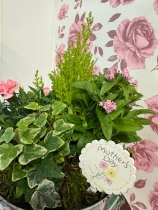 Mother’s Day planted pail