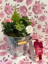 Mother’s Day planted pail