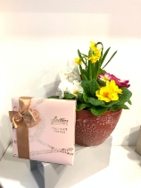 Mother’s Day planters with Butlers chocolates 200g