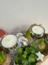 Santa,s sledge Hyacinth planter