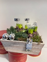 Square Hyacinth planted arrangement with lights and candle holders