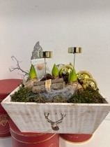 Square Santa Hyacinth planted arrangement with candle holders