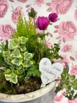 Watering can planter ( proper full size watering can )