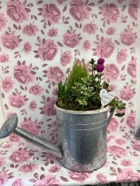 Watering can planter ( proper full size watering can )